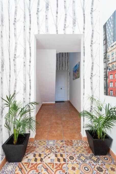 Sunnyland Teresitas 2 Apartman San Andrés Kültér fotó